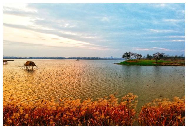 金湖湿地流光溢彩，满目秋色美不胜收