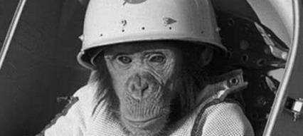 第一只被送上太空的猴子怎么样了？50年后成了科学的“牺牲品”