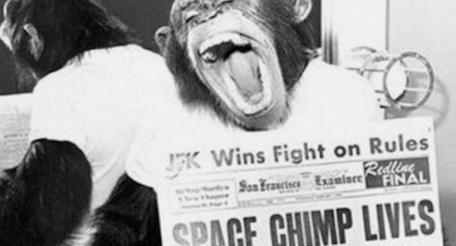 第一只被送上太空的猴子怎么样了？50年后成了科学的“牺牲品”