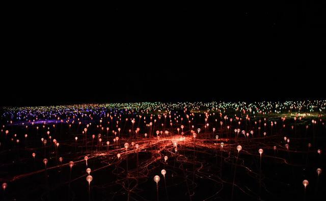 究竟有没有外星人干预过地球？万年前的岩画，可能已经...