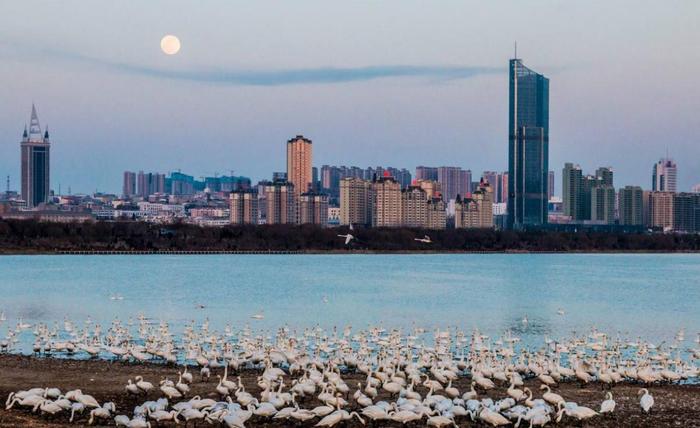 河南最默默无闻的城市，拥有两个百年火车站，却仅为五线城市