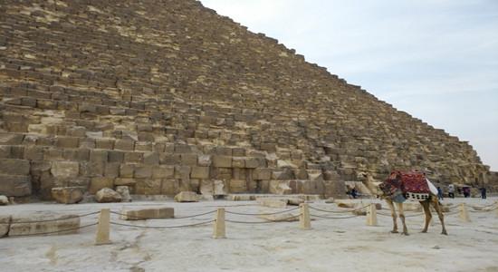 为什么说土地私有制是古埃及经济发达的主要特征之一？