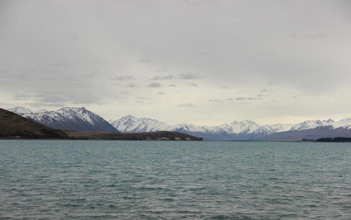 新西兰旅行之特卡波湖小镇，湖光山色美景星空，网红必去的打卡地