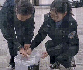 马犬与主人走失，原地哀嚎一整天，被送到警局后竟乐不思蜀