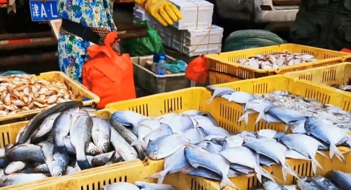 天津早市六点卖海鲜，开海后的海货肥美新鲜，价格你觉得如何