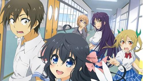 后宫动漫排行榜_宅男勿进!盘点十大后宫动漫!(2)