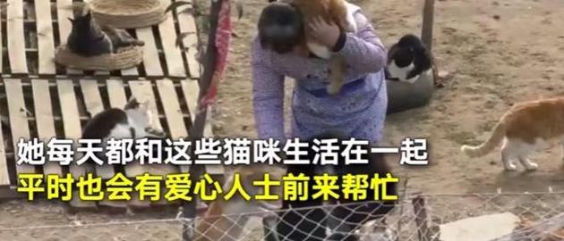 女大学生毕业后收养上百只流浪猫，过年也不离开毛孩子们