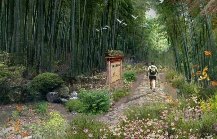 三明一国家级森林步道开建，全长50公里！