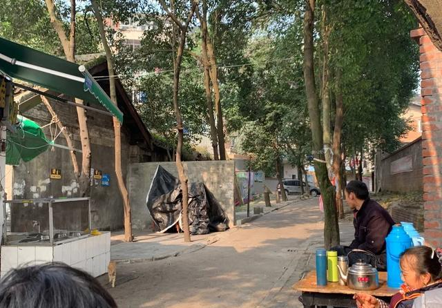 你怎么看自贡超火的厕所兔？