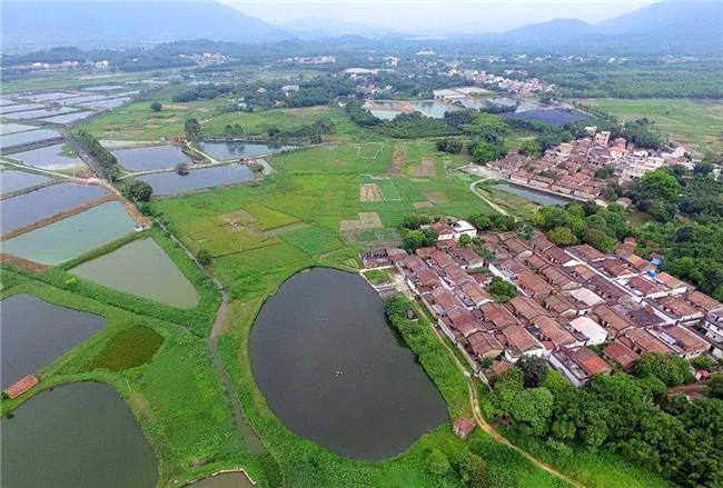 佛山南山村民不但要吃好穿好住好，而且还要品尝精神食粮