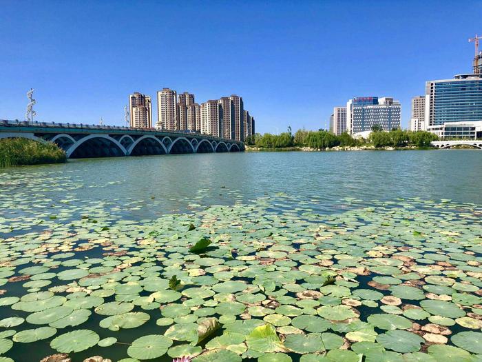 宁夏仅次于银川的城市，生产总值只有银川零头，凉皮却闻名全国