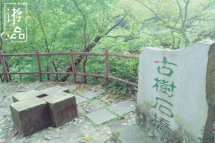 只知道重庆南山有“一棵树”？其实，南山还有“壹碗水”