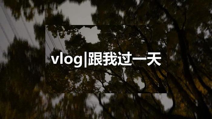 自媒体创业遇瓶颈？踏入vlog蓝海，你是站在风口的那个人吗