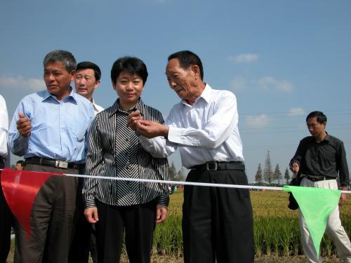 杂交水稻袁隆平：华夏大地的出彩中国人