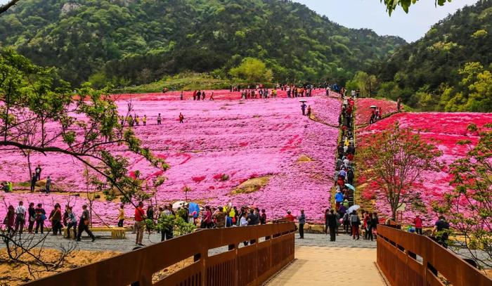 姚李毅话烟台：海上仙山之祖昆嵛山