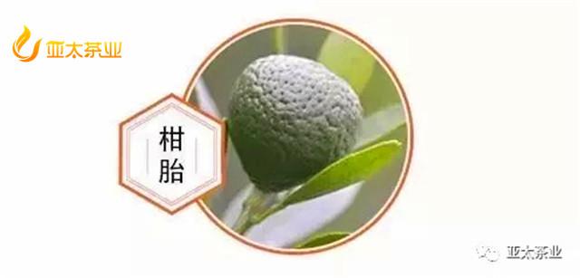 这个BB，不“柑”平凡！