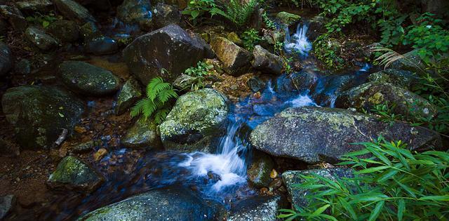 广州也有一个五指山景区, 你知道在哪里么?