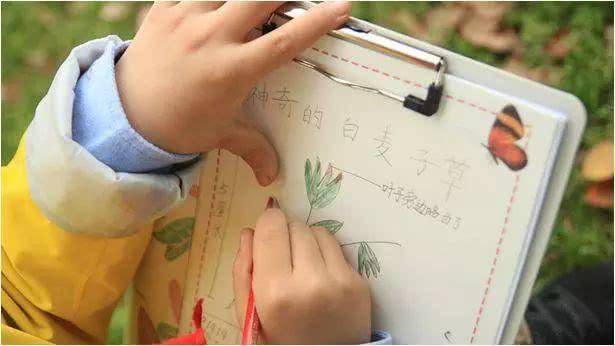马云点赞武汉公益项目：自然教育从小抓很有意义
