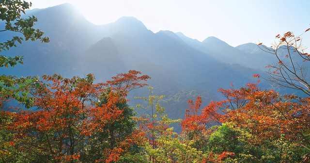 广州也有一个五指山景区, 你知道在哪里么?