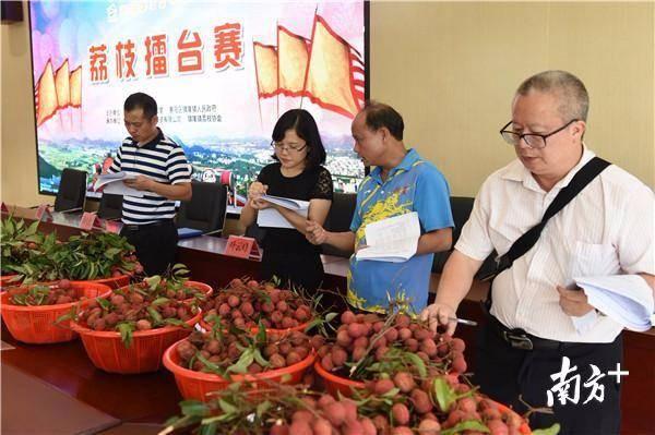 惠阳镇隆荔枝擂台赛  “荔枝王”花落楼下村