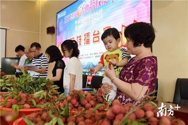 惠阳镇隆荔枝擂台赛  “荔枝王”花落楼下村