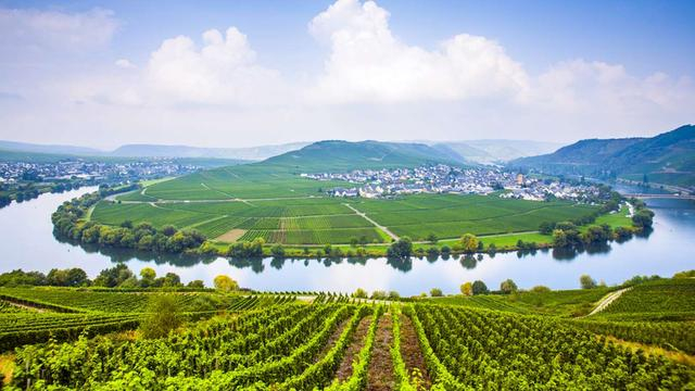 千里单车游德国:盘点德国最美的10条骑行路线,收藏版