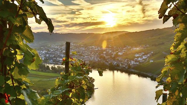 千里单车游德国:盘点德国最美的10条骑行路线,收藏版