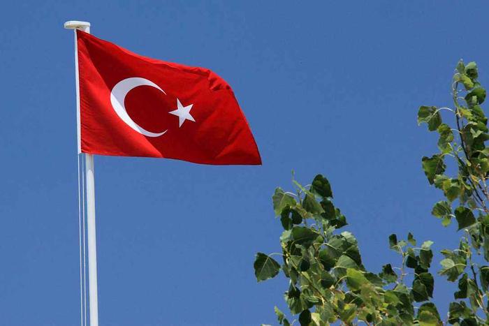 为何称土耳其为国中“哈士奇”？干过太多蠢事令人哭笑不得