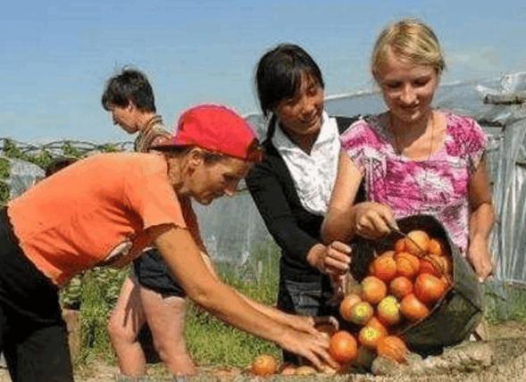 中国“混血村”，多数村民为金发碧眼的混血儿，强调自己是中国人