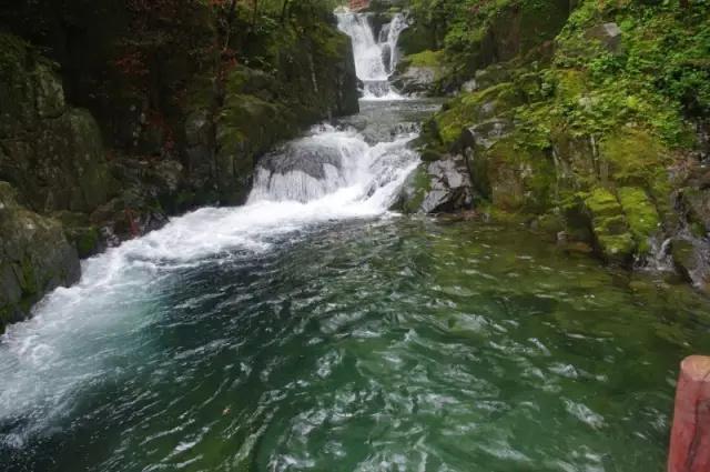 安康这几个地方才是今夏最适合避暑的清凉胜地!让你瞬间清凉10℃！