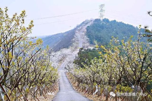 常州人，你又多了一“村游”好去处!依山傍水简直美得不像话~