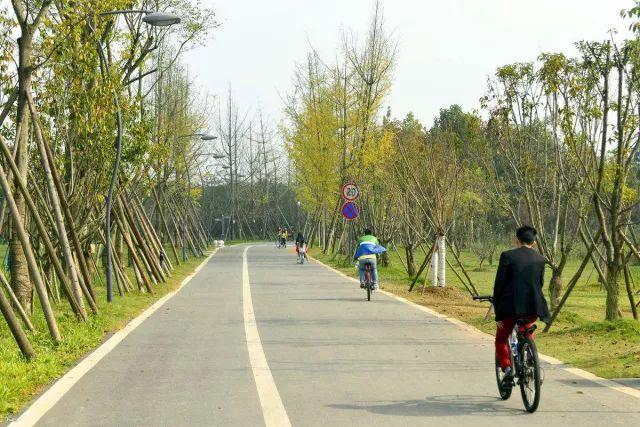 成都网红跑步打卡地！最甩肉的12.5公里，只有天府中央公园给你！