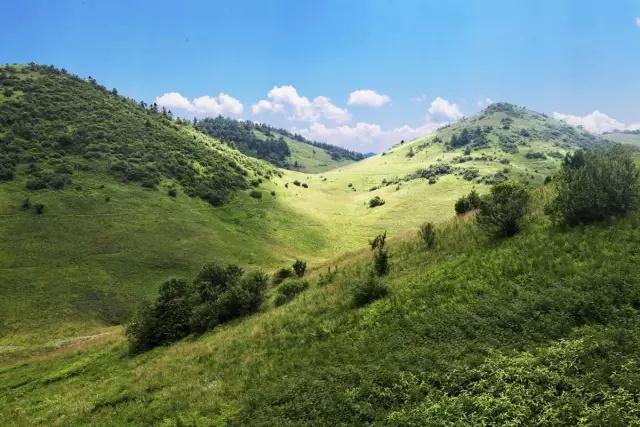 安康这几个地方才是今夏最适合避暑的清凉胜地!让你瞬间清凉10℃！