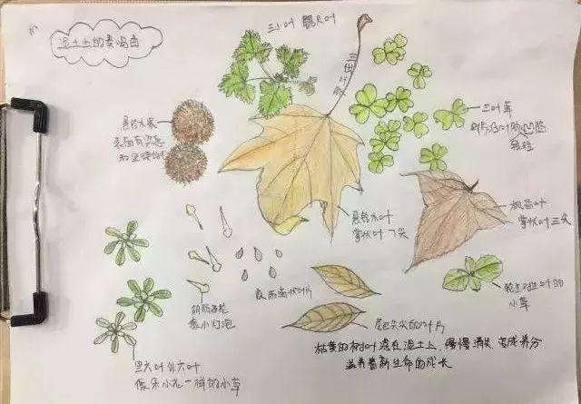 马云点赞武汉公益项目：自然教育从小抓很有意义