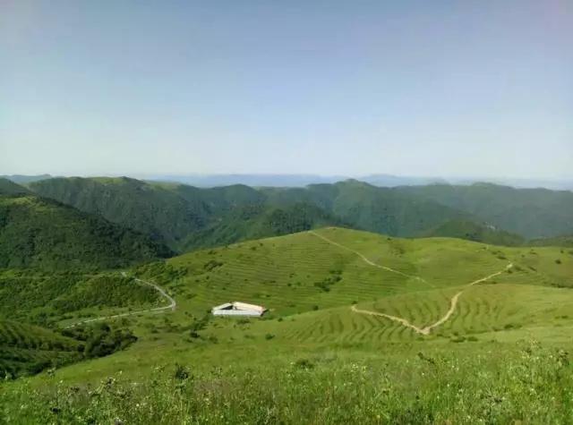 安康这几个地方才是今夏最适合避暑的清凉胜地!让你瞬间清凉10℃！