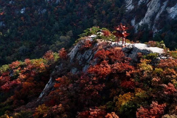 姚李毅话烟台：海上仙山之祖昆嵛山