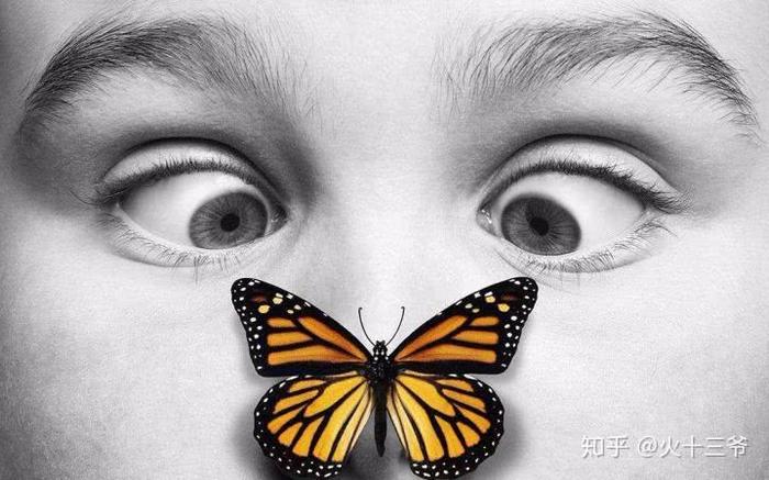 央视著名主持人深夜发博：四岁儿子拥有前世记忆
