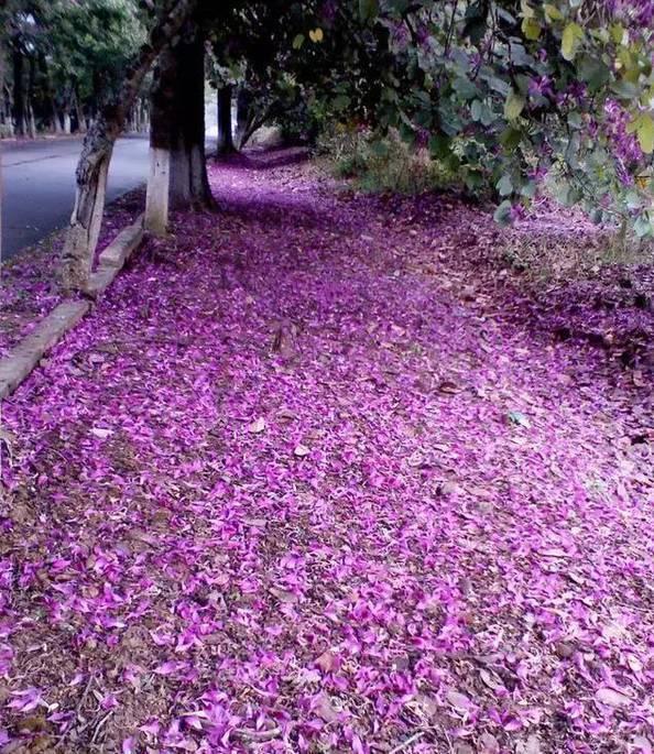 广东十大最美公路，一年四季的风景都在路上，周末就自驾！