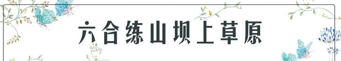 南京最适合一日游的8个地方, 不花钱玩上一整天, 周末约起!