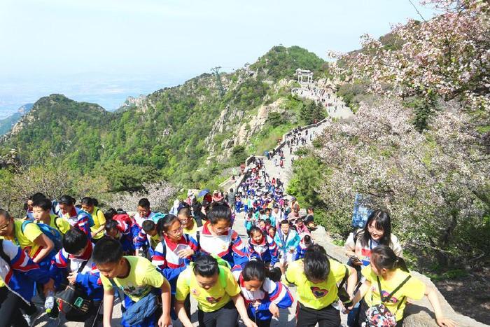 “泰山”我来了，这么多登山线路你选哪一条