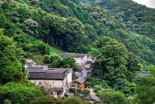 广东十大最美公路，一年四季的风景都在路上，周末就自驾！