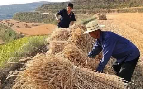 山东被认为是“最穷”的四个县，不在济宁，也不在聊城