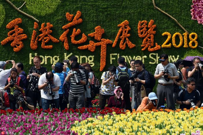 香港花卉展“心花放”：小女孩、大绿象、炫彩骏马带你徜徉春天！
