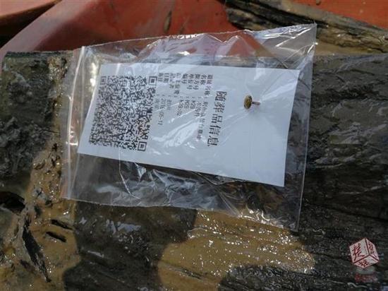荆州现西汉古墓 考古发掘现场目睹千年秘密