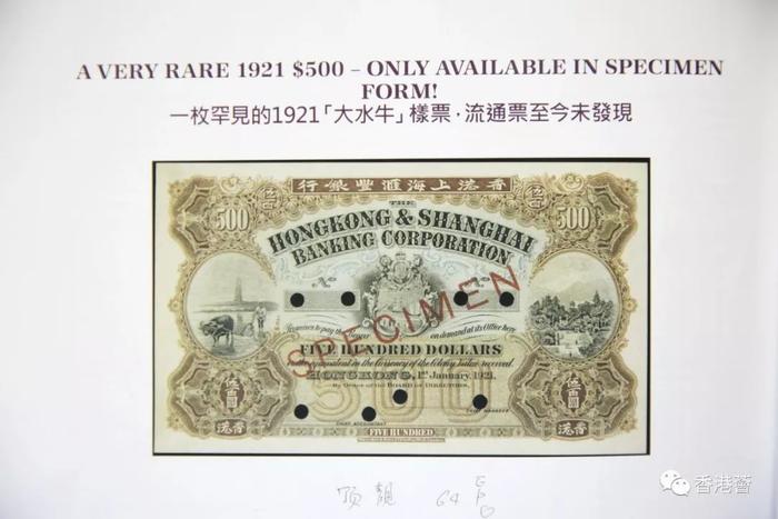 为何1000元港钞被称作金牛？500元叫大牛？
