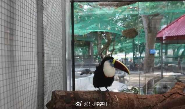 湛江动物园你知多少？[并不简单]