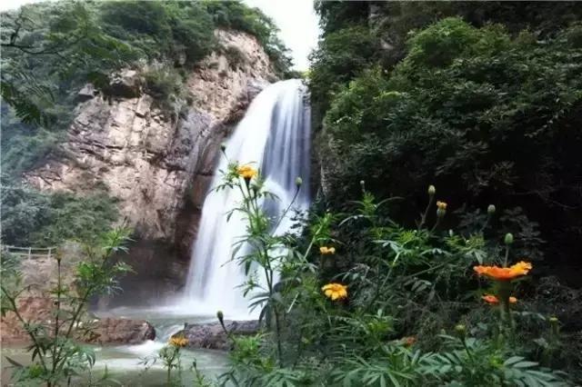 有山有水有树林，河南7个景区保证你过一个清凉的夏天