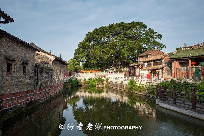 800年历史的古村落，藏在东莞的小村里，却是广东最美丽乡村