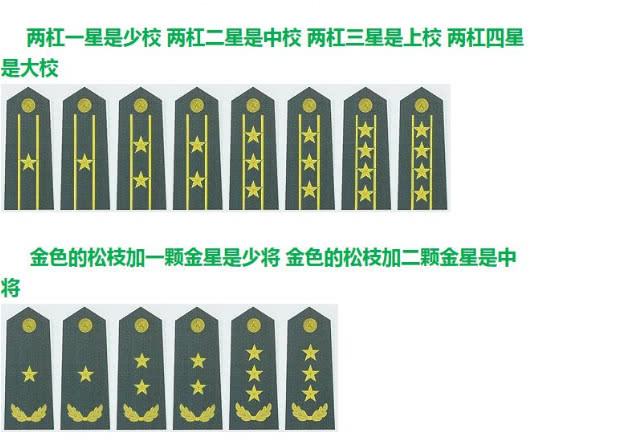 部队的军衔肩章，为什么有的是“五角星”，有的是“一朵花儿”？