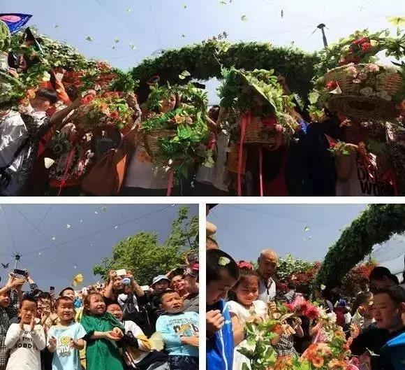 秦皇岛港西绿地景区首届花海蝴蝶谷美爆了！还有璀璨浪漫灯光节